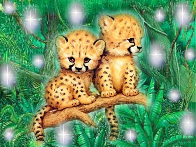 two cheetah cubs on a branch