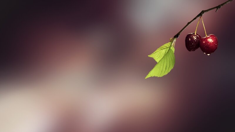Two Cherries on a Branch — Red, Serene