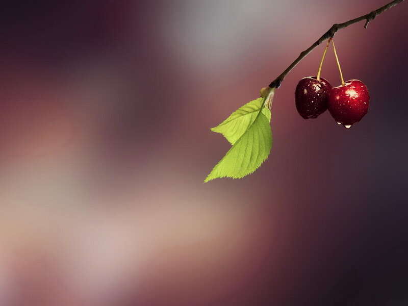 Two Cherries on a Branch
