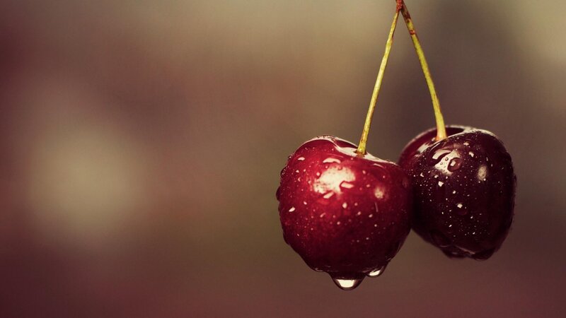 Two Cherries on a Stem