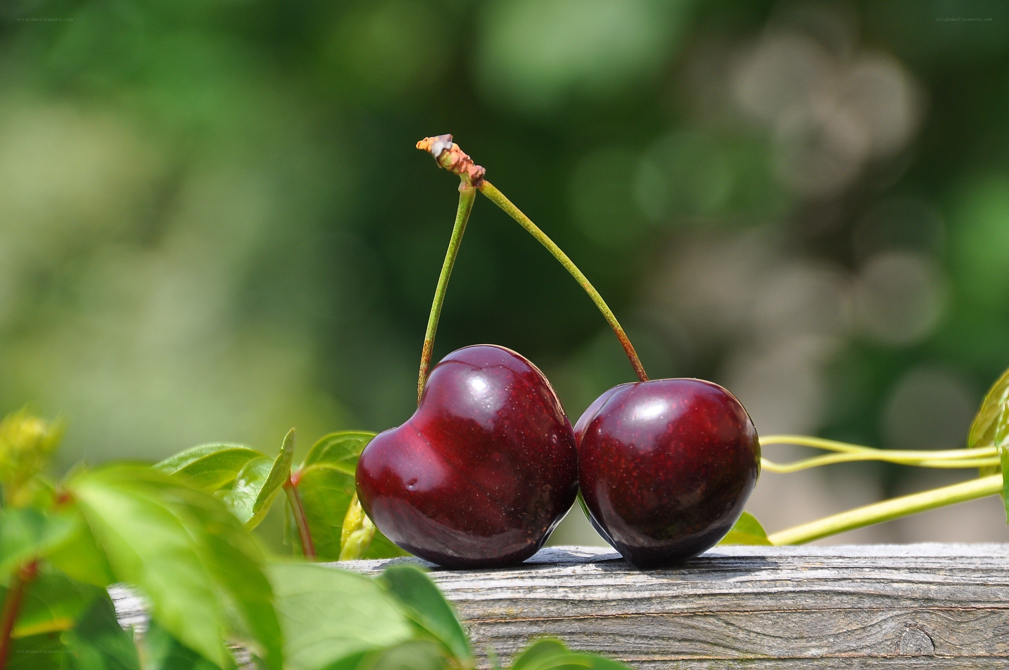 Two cherries on a wooden surface
