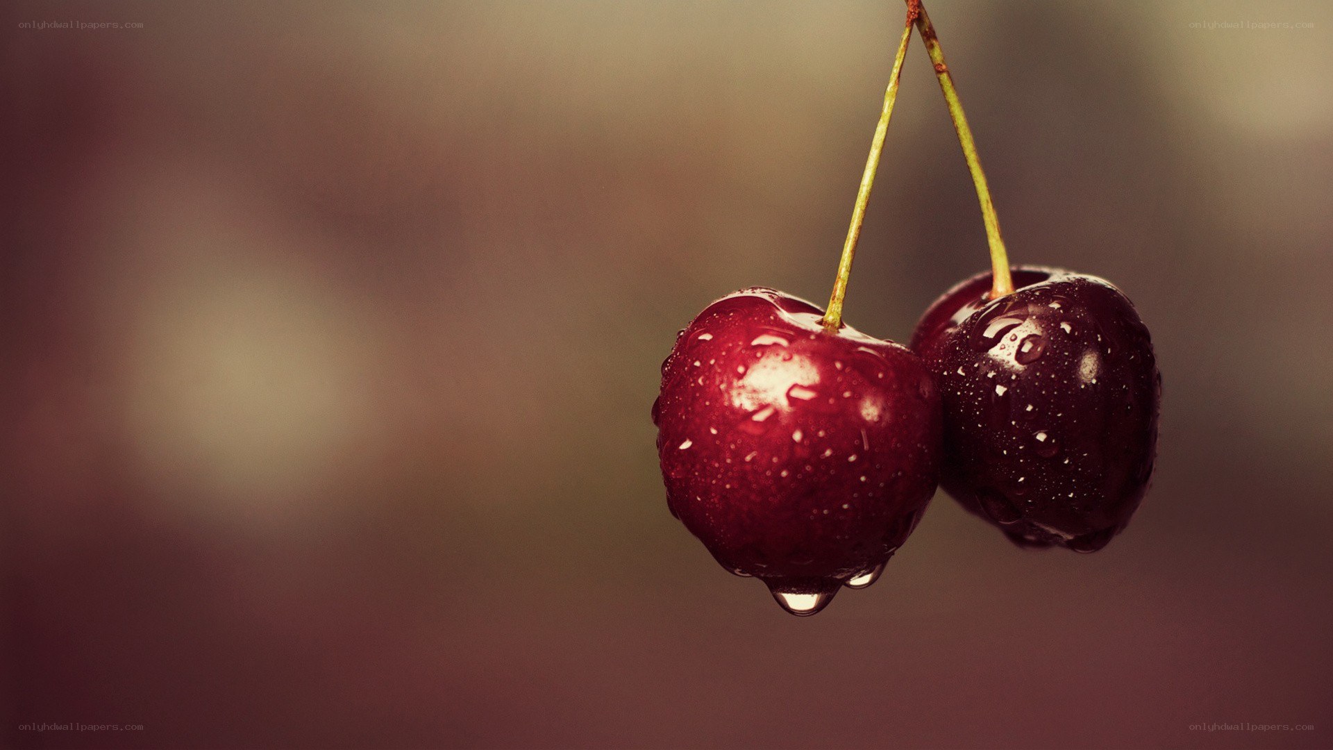two cherries with water droplets