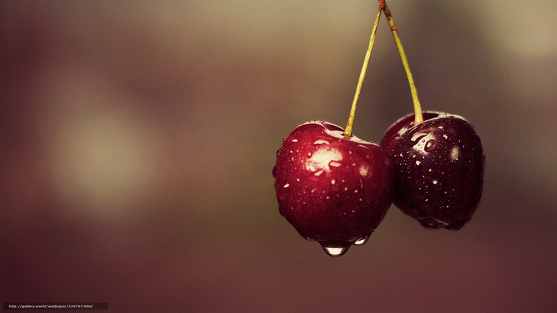 Two cherries with water droplets