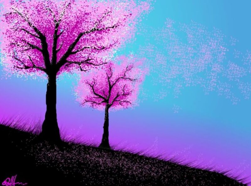 Two Cherry Blossom Trees
