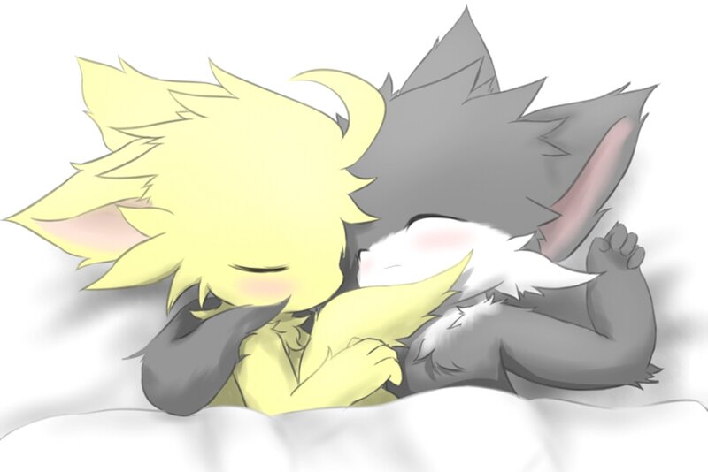 Two Chibi Animals Sleeping
