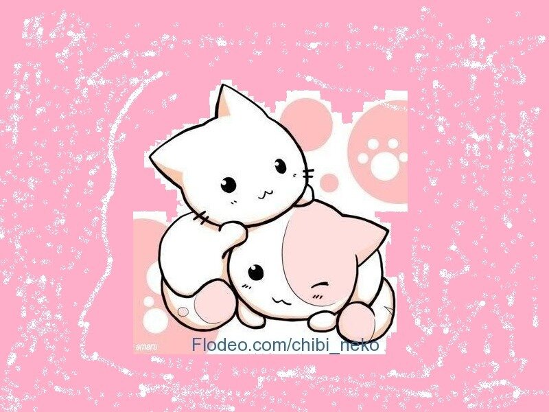 Two Chibi Cats