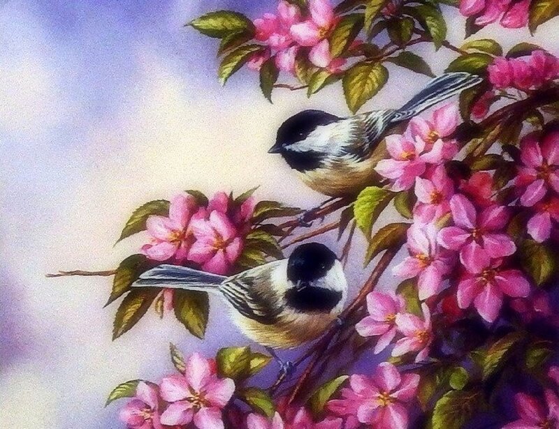 Two Chickadees on Blossoms