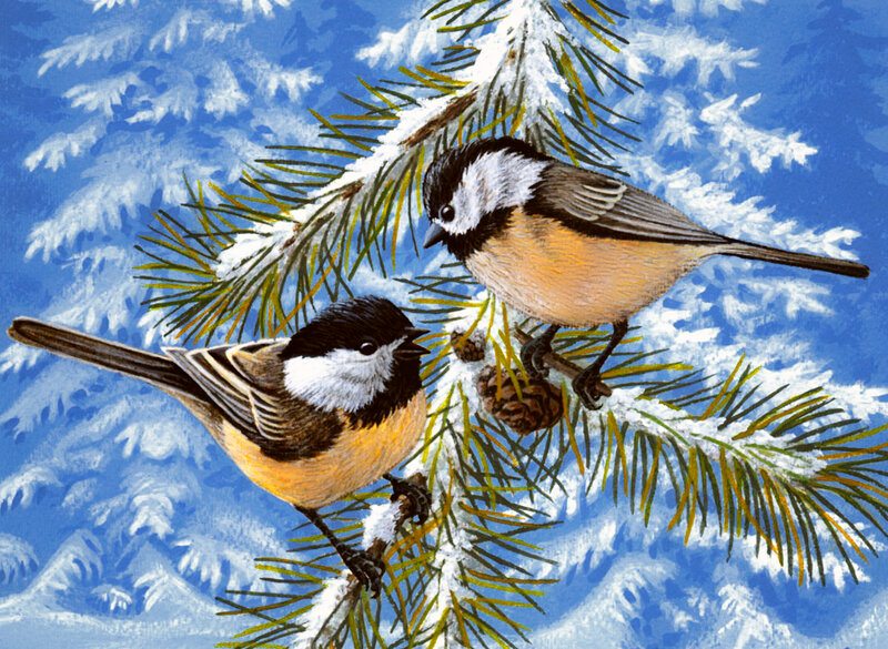 Two Chickadees on Branch — Blue