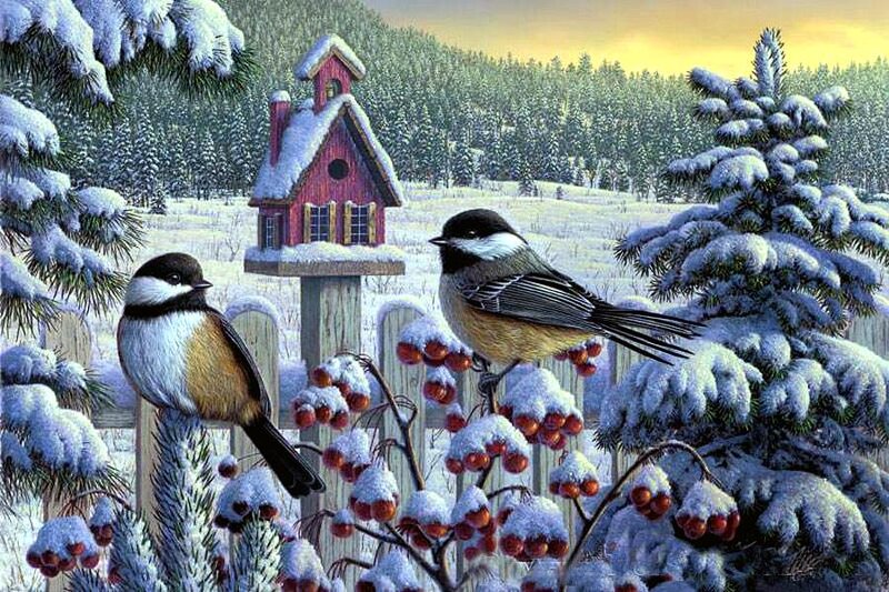 Two Chickadees on Branch