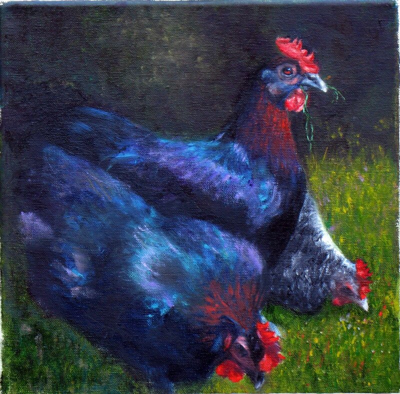 Two chickens in a field