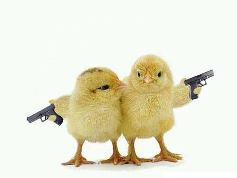Two Chicks with Guns