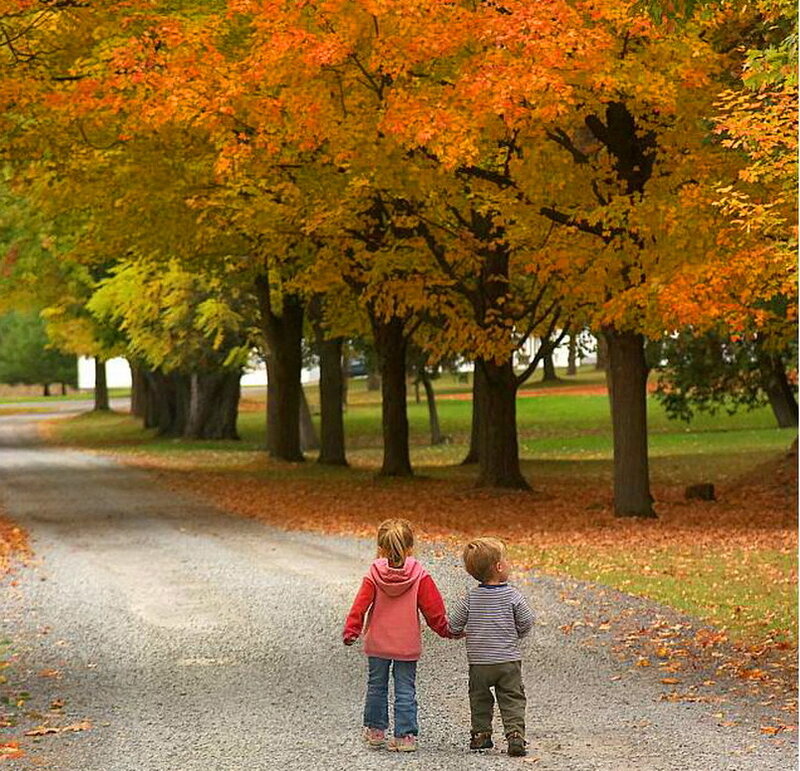 Two Children Holding Hands — Orange