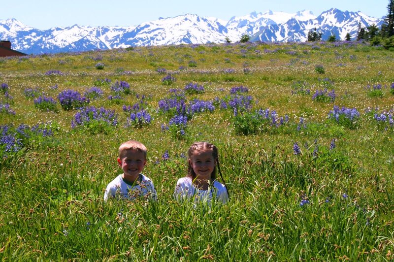 Two Children in Field — Green