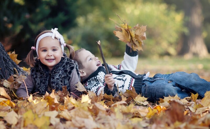 Two Children in Leaves — Brown