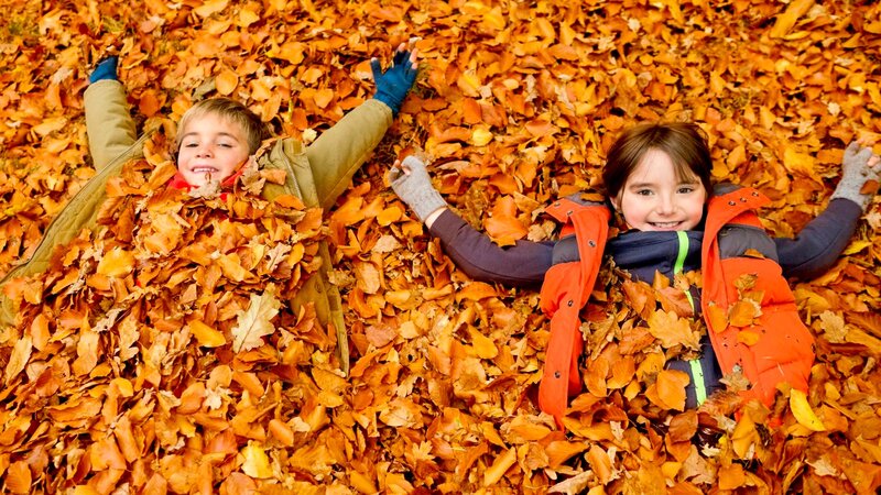 Two Children in Leaves — Orange