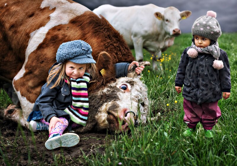 Two Children with Cows
