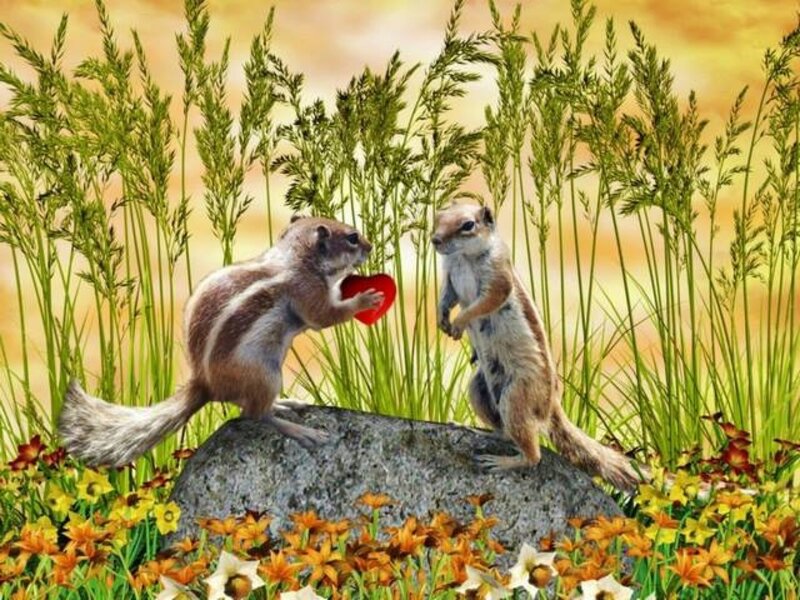 Two Chipmunks on Rock — Green