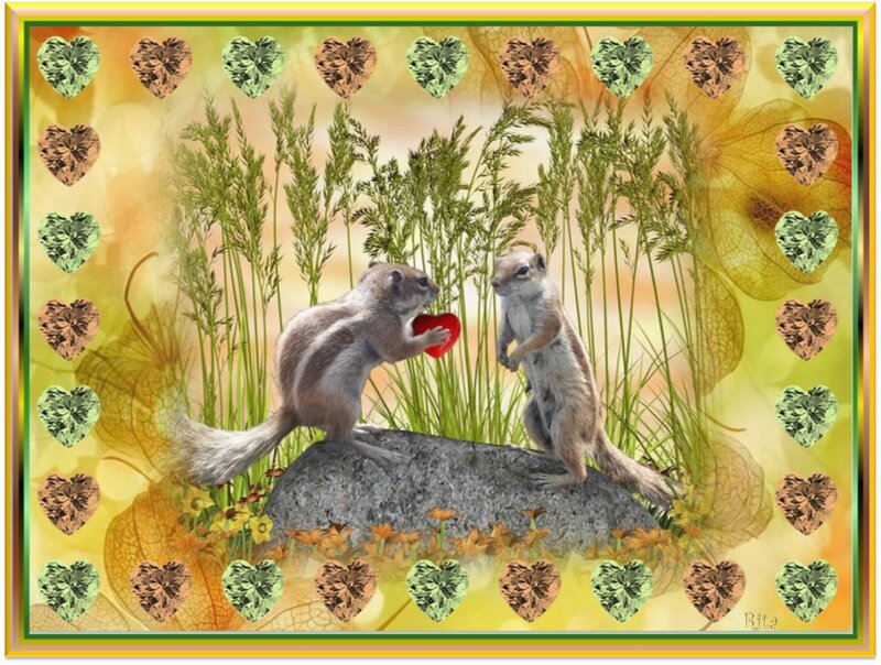 Two Chipmunks on Rock — Yellow