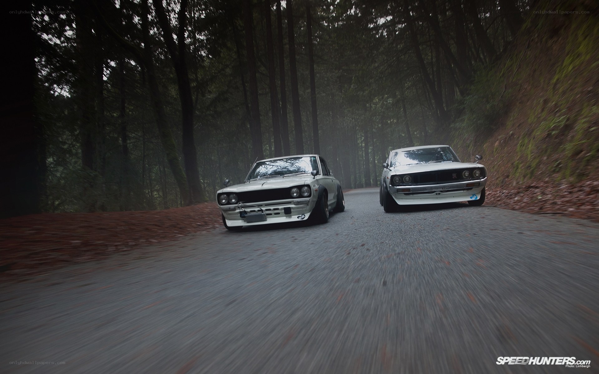 Two classic cars on a forest road