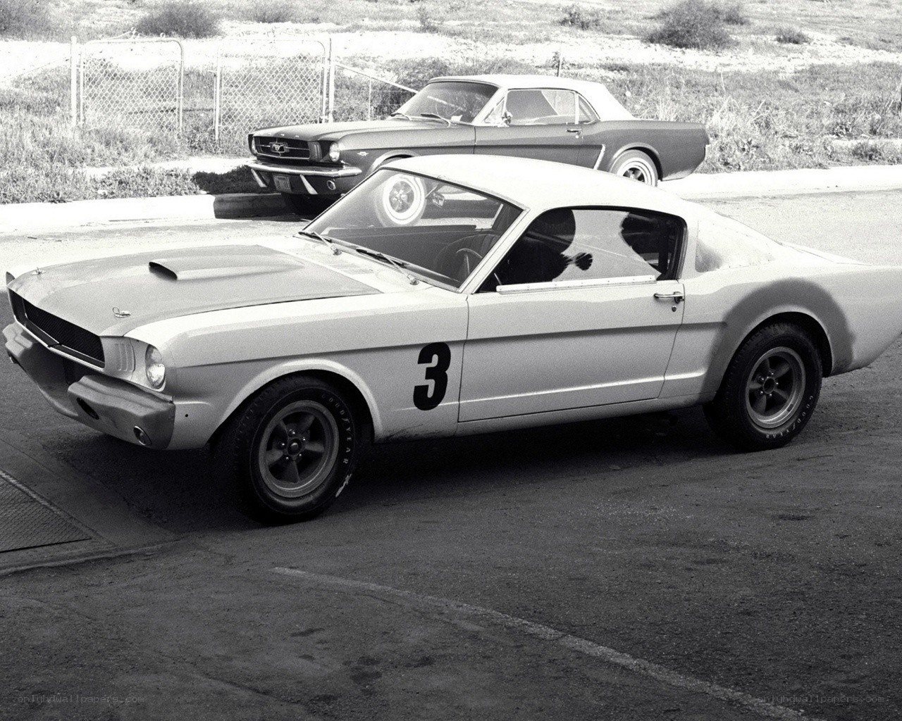 Two classic Ford Mustangs