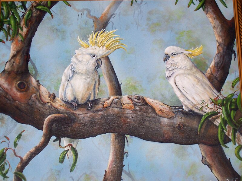 Two Cockatoos on Branch — White, Calm