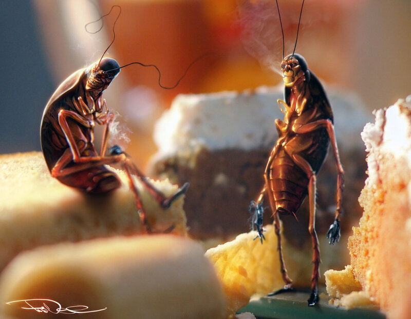 Two Cockroaches on Cake — Brown