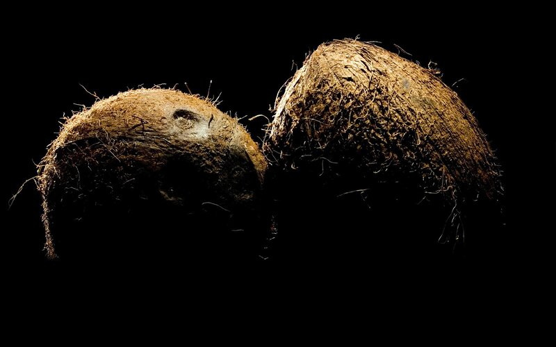 Two coconuts on black background