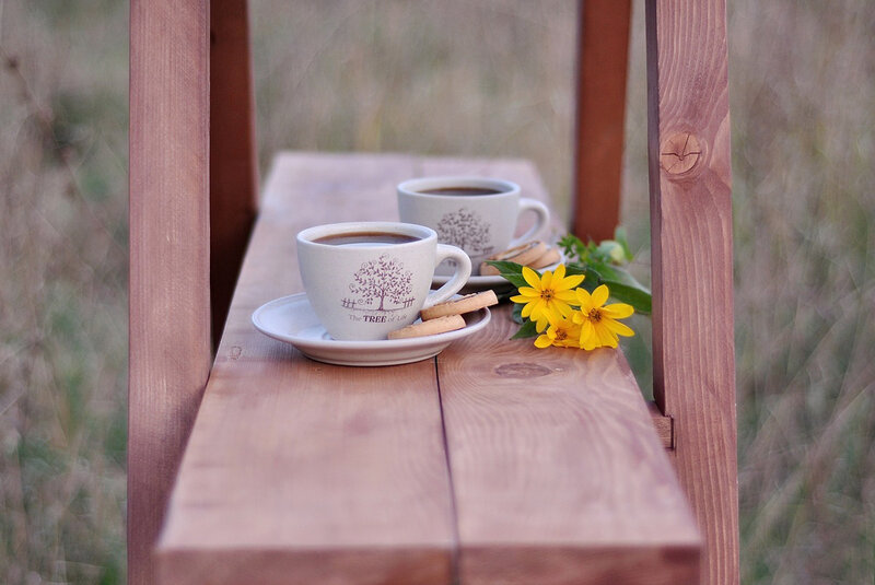 Two Coffee Cups on Bench