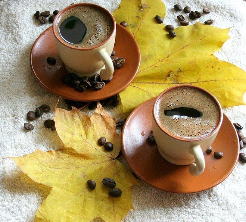 Two Coffee Cups on Leaves