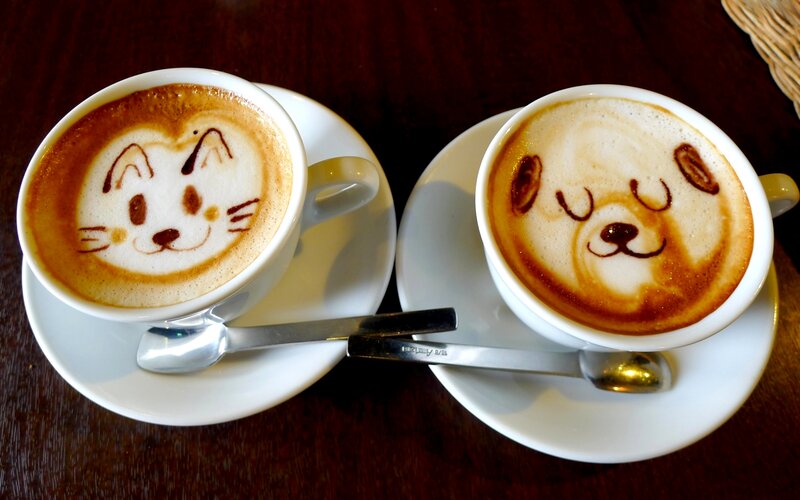 Two Coffee Drinks — Brown, Calm