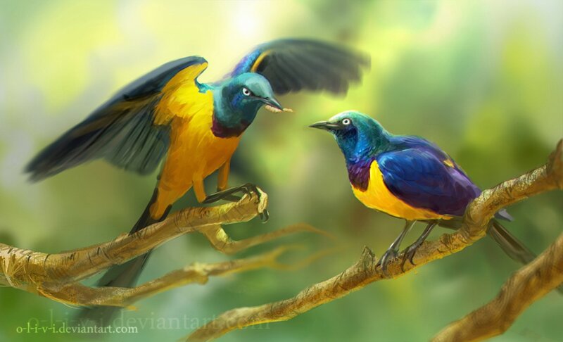Two Colorful Birds — Blue, Calm, Digital Art
