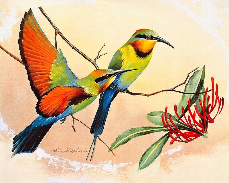 Two Colorful Birds — Green, Calm, Painting