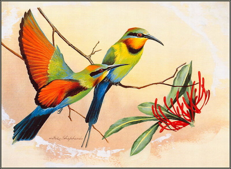 Two Colorful Birds on Branch — Green