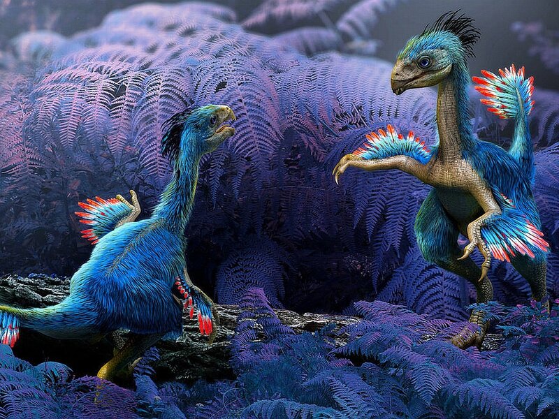 Two colorful dinosaurs in a fern forest