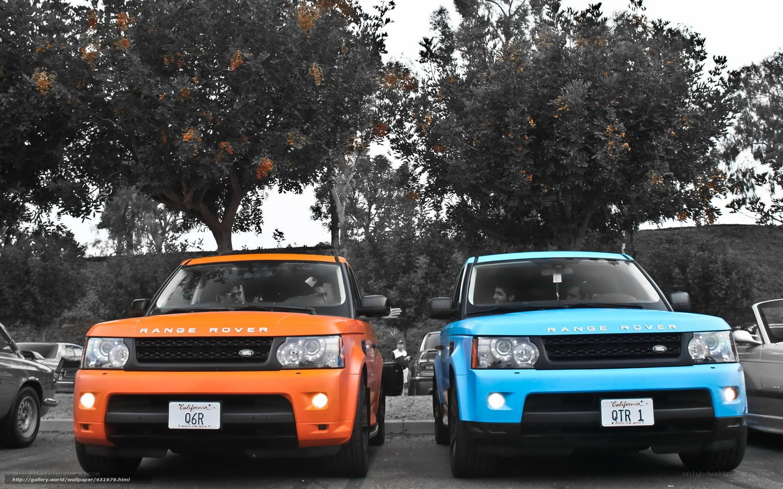 Two colorful Range Rovers