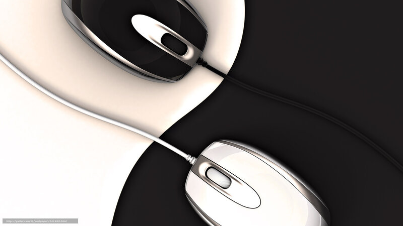 Two Computer Mice