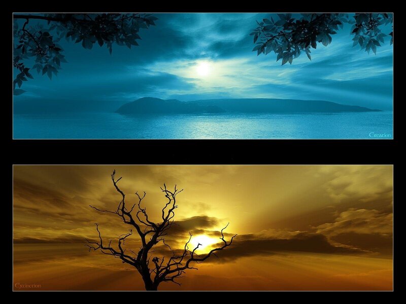 Two contrasting landscapes