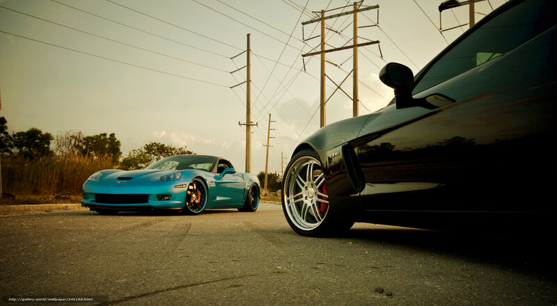 Two Corvettes on a Road