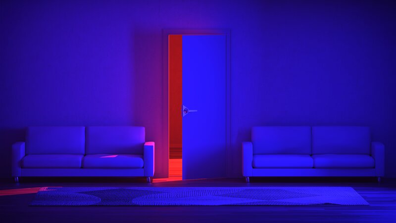 Two Couches in Room