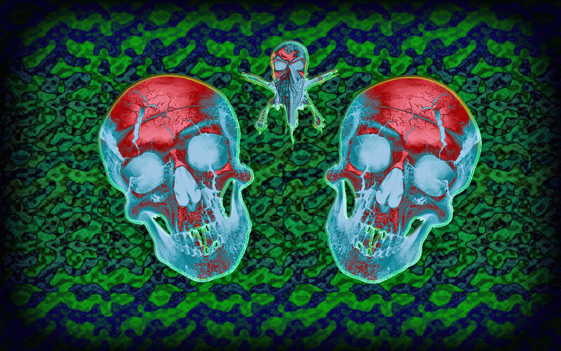 Two Cracked Skulls