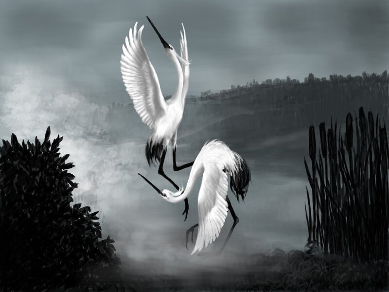 Two cranes in misty landscape