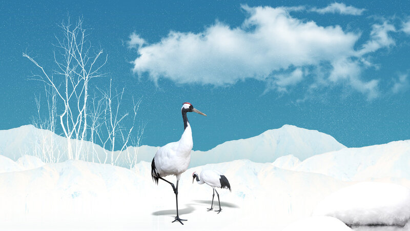 Two Cranes in Snow — White