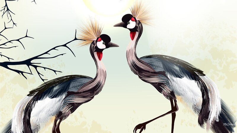 Two Crowned Cranes — Beige