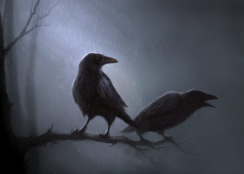 Two crows in the rain