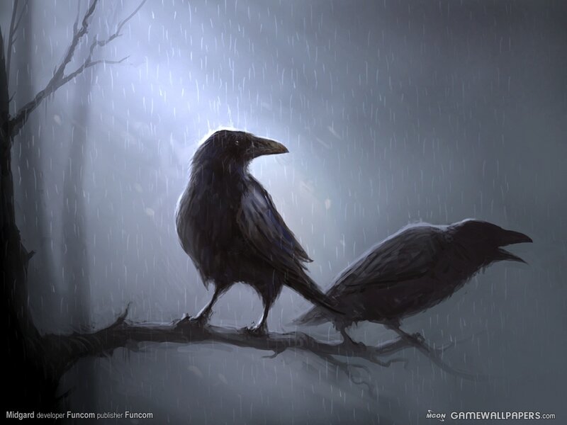 Two crows in the rain