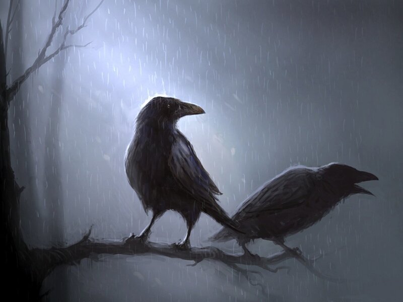 Two Crows on a Branch — Gray