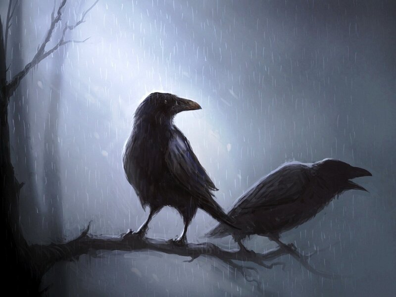Two Crows on Branch — Black, Dramatic