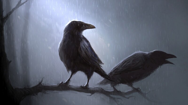 Two Crows on Branch