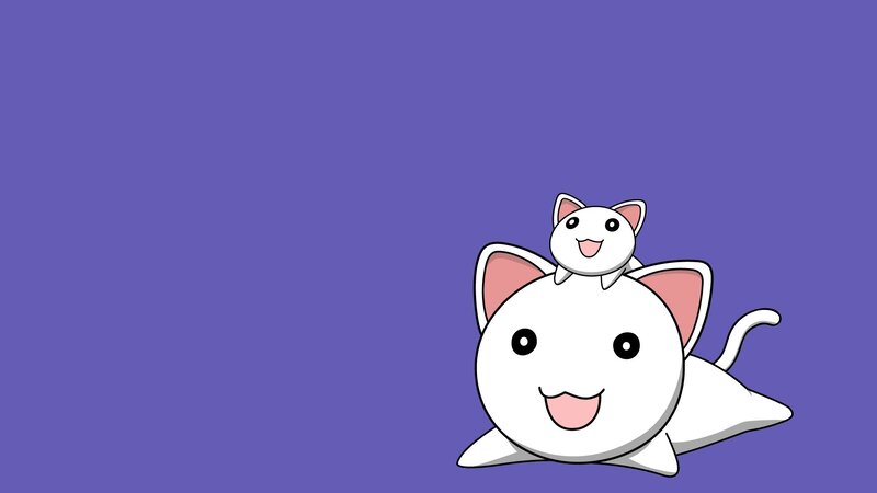 two cute white cats