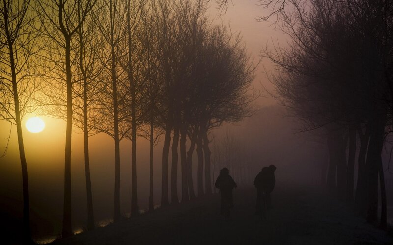 Two Cyclists on Path